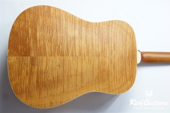D-240E F.Mahogany